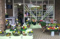 The Flower Shop 1077581 Image 4